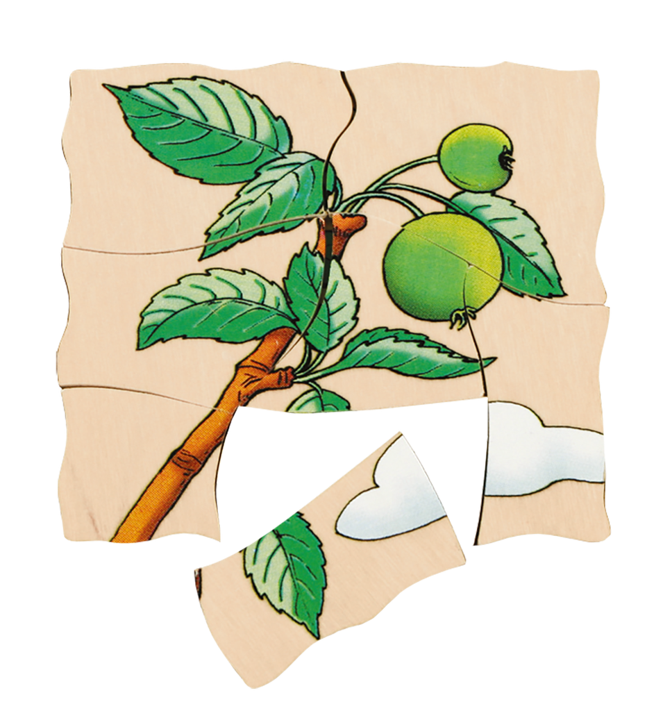Lagen-Puzzle "Apfel"