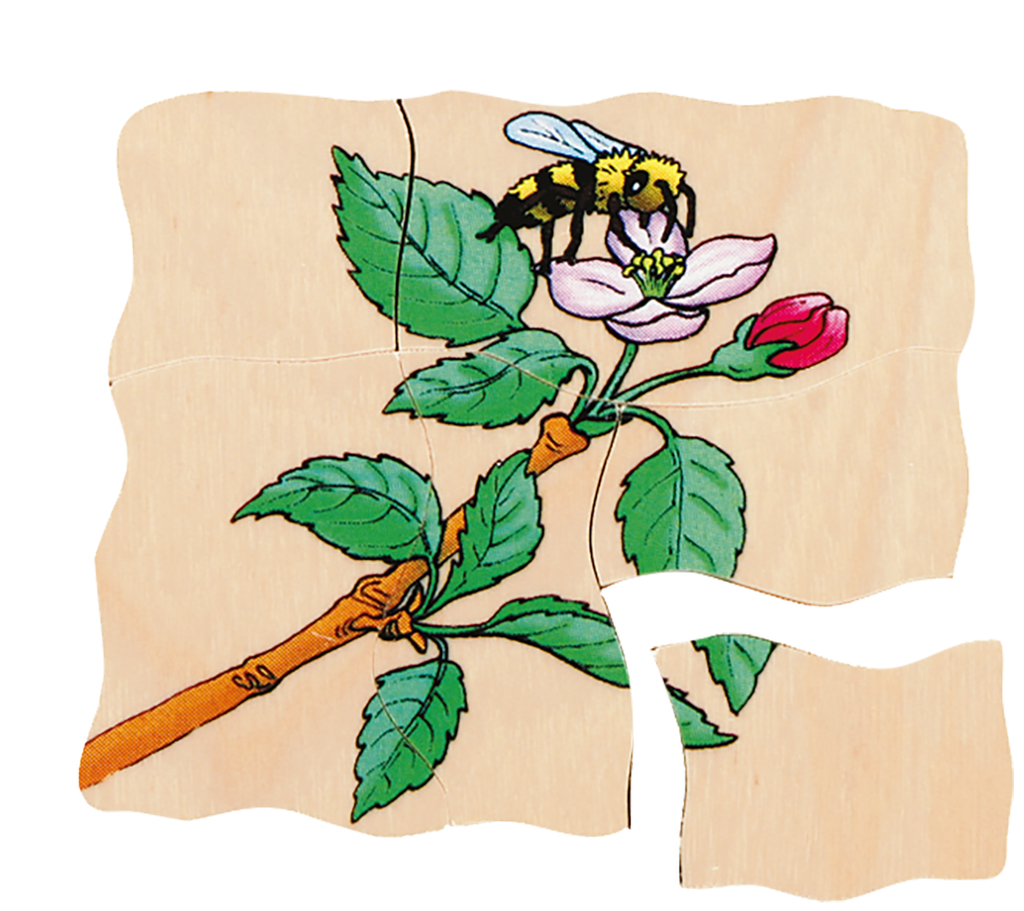 Lagen-Puzzle "Apfel"