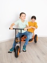 Shuttle Trike MAXI