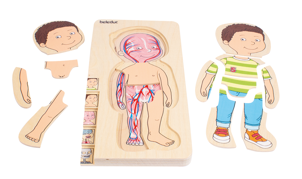 Lagen-Puzzle "Dein Körper Junge"