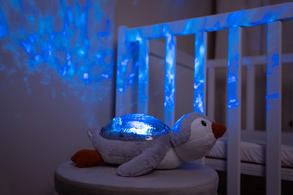 Tranquil Whale™ - Blauwal