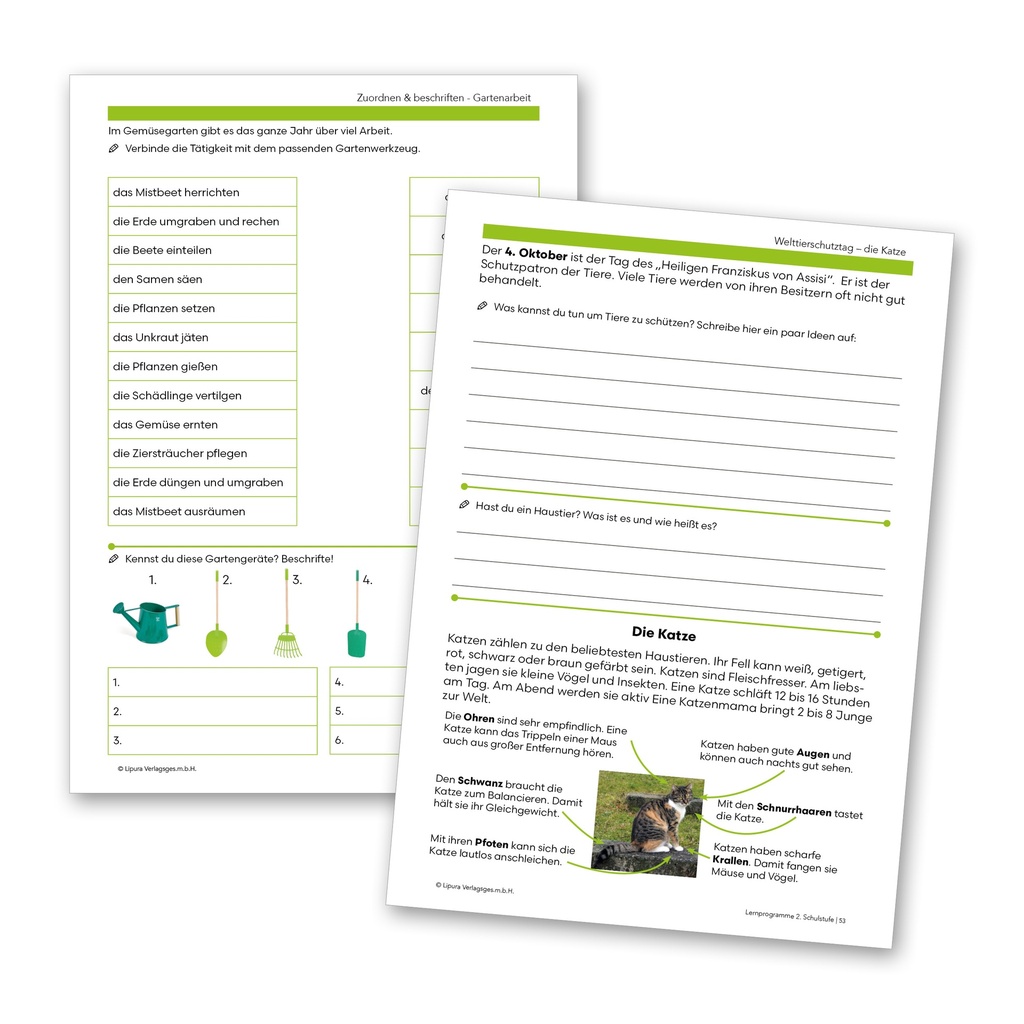 Lernprogramme für die 2. Schulstufe