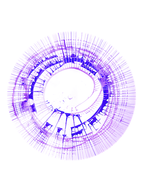 Rundfolie - 50er Set