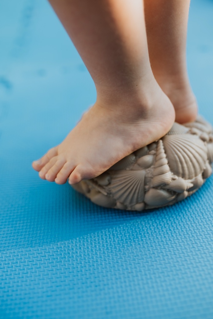 Balanciersteine - Muscheln