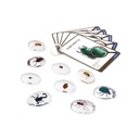 Beobachtungsgläser - Insekten