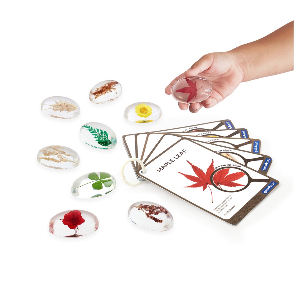 Beobachtungsgläser - Pflanzen